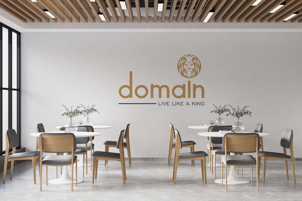 Domain Logo by Brandniti